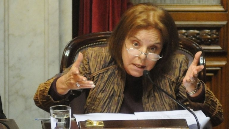 Chiche Duhalde: “Un porcentaje de mujeres prefieren tener un hijo para cobrar la asignación”