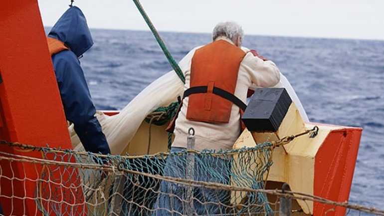 Enrique Marschoff: “La sobrepesca se da porque los pescadores están metidos en un sistema económico”