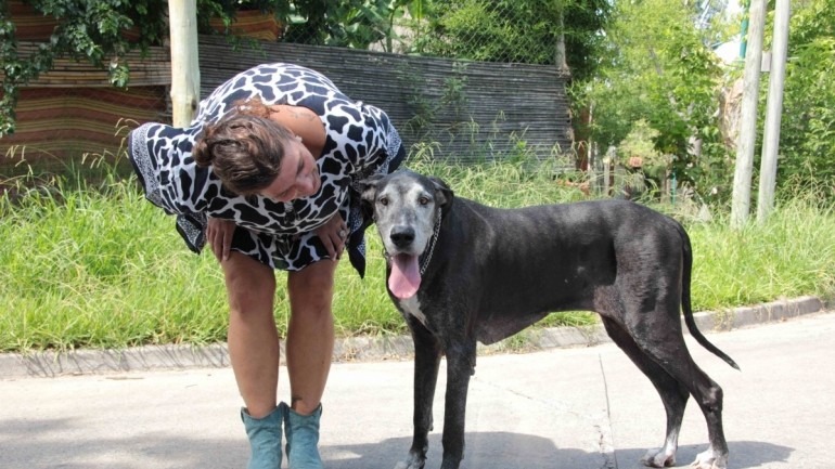 Reneé Cormillot: “La denuncie porque soy amante de los animales”