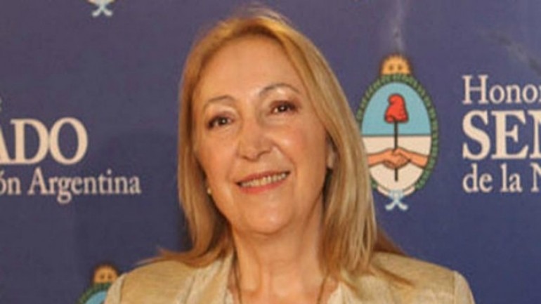 Silvia Giacoppo: “El país no está en emergencia”