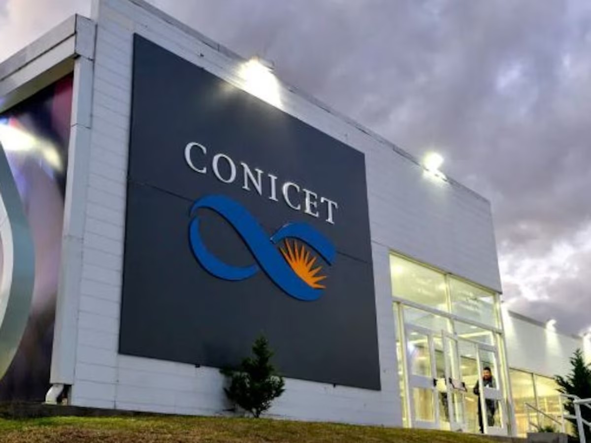 Jorge Geffner: “Hay un proceso de vaciamiento en el CONICET”