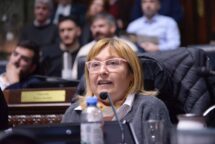 GRACIELA OCAÑA: “Hay militantes que más que militar en política se han convertido en una especie de secta”.