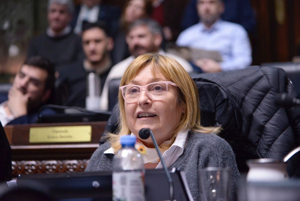 GRACIELA OCAÑA: “Hay militantes que más que militar en política se han convertido en una especie de secta”.