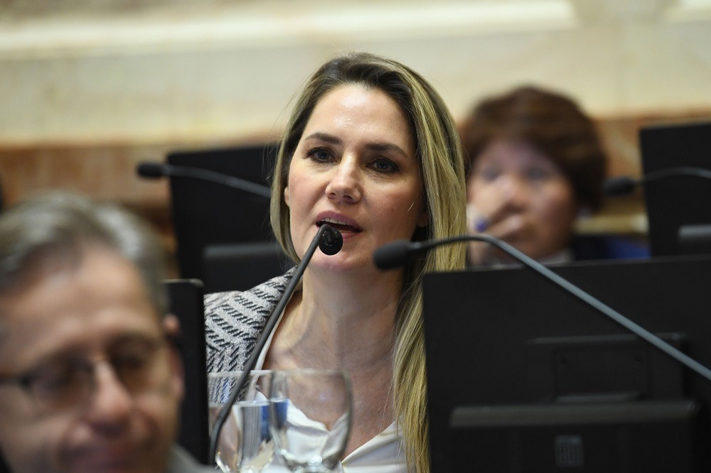 CAROLINA LOSADA: “No puede ser que estemos dejando a la deriva a personas que tienen una discapacidad”.