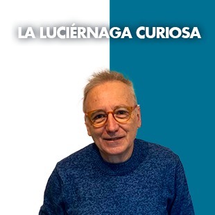 LA LUCIERNAGA CURIOSA