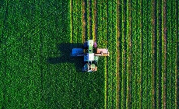 8 de septiembre: agricultura, alfabetización, periodismo y una fecha cargada de historia