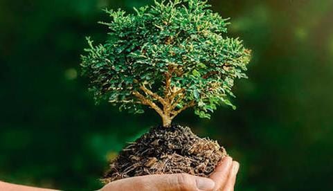 18 de octubre: naturaleza, salud y acontecimientos que dejaron su huella en la historia